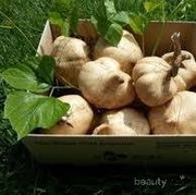 Kulit Wangi dan Segar dengan Lulur Buah