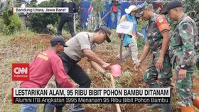 VIDEO: Lestarikan Alam, 95 Ribu Bibit Pohon Bambu Ditanam