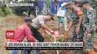 VIDEO: Lestarikan Alam, 95 Ribu Bibit Pohon Bambu Ditanam