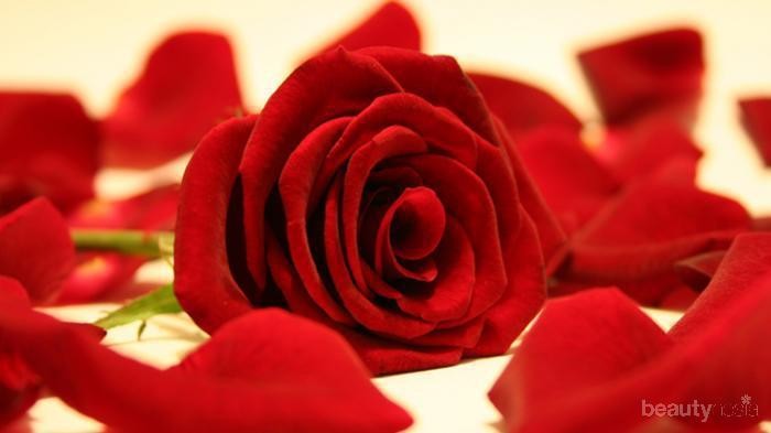 Cara Alami Atasi Jerawat Dengan Bunga