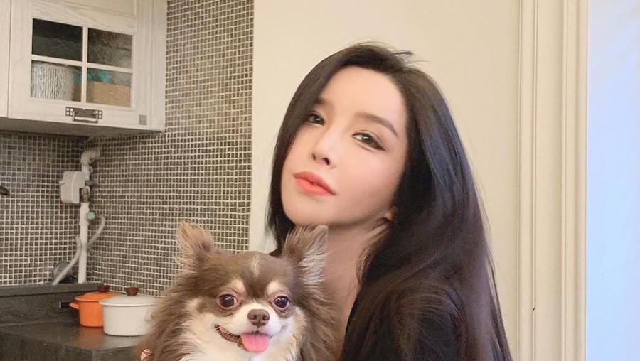 Harisu Harisu