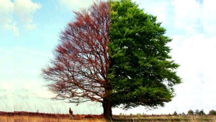 Makanan Peningkat Stamina di Musim Pancaroba