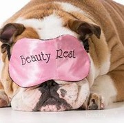 Alasan Pentingnya Beauty Sleep
