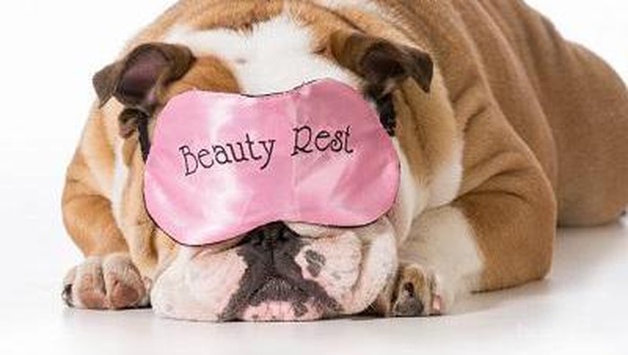 Alasan Pentingnya Beauty Sleep