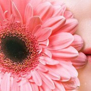 Tips Menjaga Bibir Sehat Saat Puasa