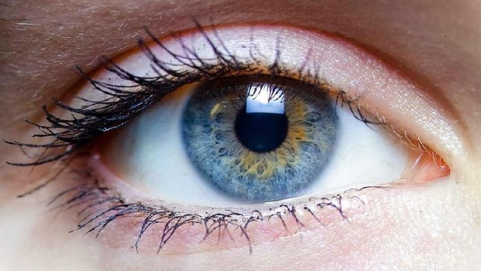 Tips Memperoleh Mata yang Sehat & Indah