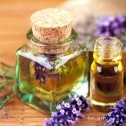 Cerianya Liburan Bersama Parfum Kesayangan