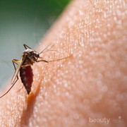 Amankah Terlalu Sering Menggunakan Krim Anti Nyamuk di Kulit?