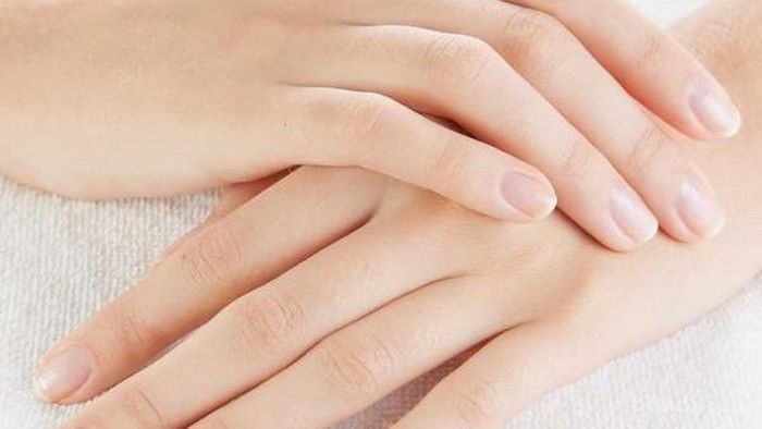 Tangan Lembut Berkat 4 Hand Cream Terbaru