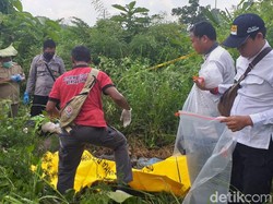Kerangka Manusia Ditemukan di Tengah Hutan Bojonegoro