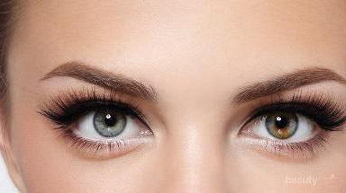 5 Best Selling Eyebrow Versi Korea Department Store