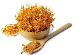 Cordyceps Militaris, Jamur Terbaik untuk Imunitas dan Saluran Napas