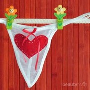 Mengenal Lebih Jauh Tentang Bakteri Vaginosis pada Miss V