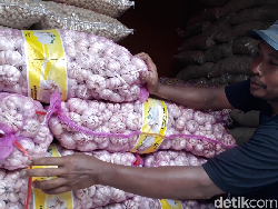 KSP Mau Panggil Importir Bawang Putih Buntut Harga Tak Kunjung Turun