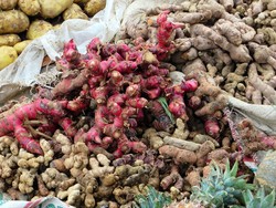 Warga Parepare Borong Jahe, Pedagang Ketiban Rezeki