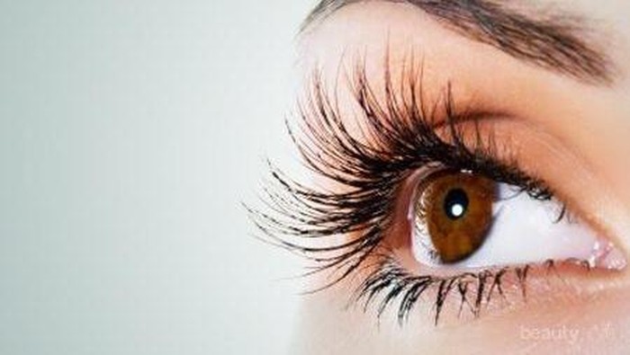Tips Merawat Bulu Mata Agar Semakin Cantik