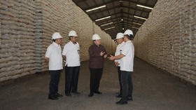 Virus Corona Masuk RI, Erick Thohir Pastikan Stok Beras Aman