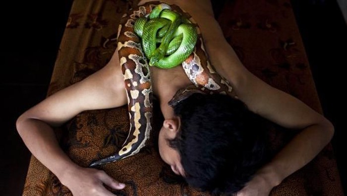 7 Spa Unik di Asia, Pakai Ular Sampai Kotoran Burung