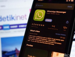 Ini Akun Chatbot WhatsApp Pemerintah Soal Virus Corona