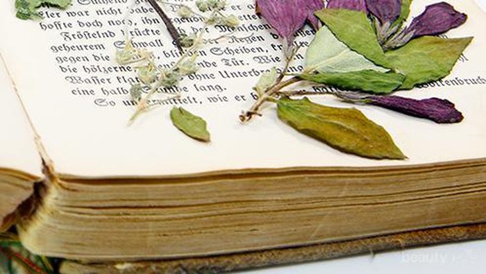 DIY: Pressed Flower Bookmark - Membuat Pembatas Buku dari Bunga Kering