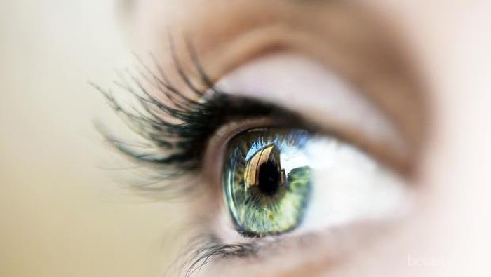 Tips Jaga Mata Sehat Ketika Bekerja