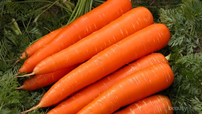 5 Resep Lezat untuk Penggemar Wortel