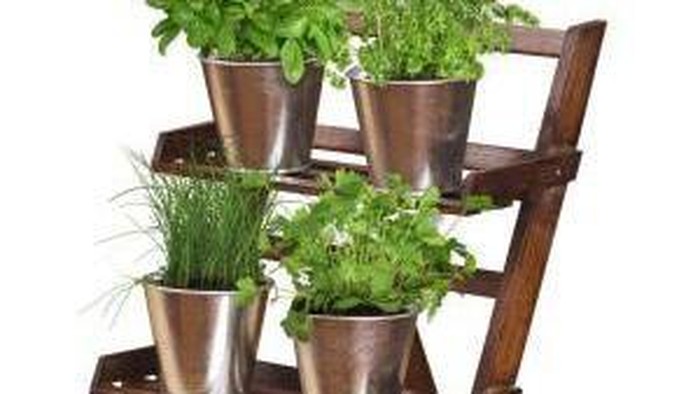 Grow Kit, Solusi Hobi Berkebun Bagi Pemula