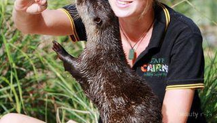 Lihat Lucunya Aksi Binatang Bersama Para Petugas Kebun Binatang Ini!