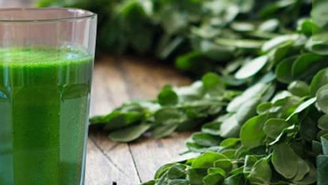 daun kelor kaya nutrisi untuk pertumbuhan tubuh