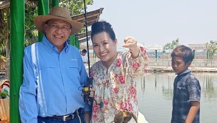 Detik Network