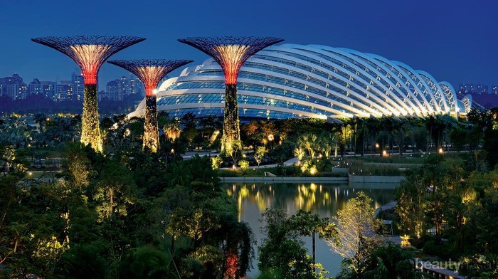 Mampir ke Gardens By The Bay di Singapura