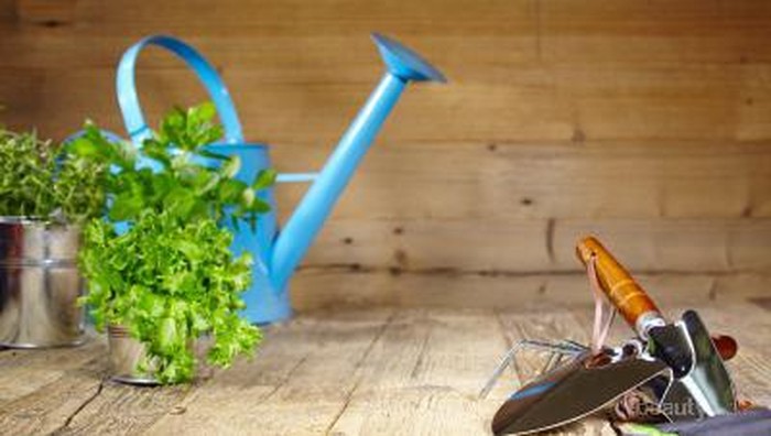 Tips Membuat Terrace Garden