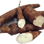 7 Aneka Olahan Singkong