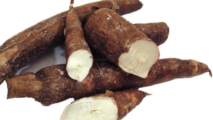 7 Aneka Olahan Singkong