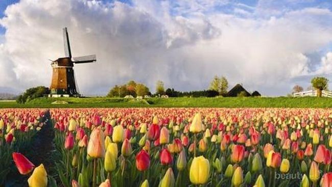 Yuk, Kunjungi 7 Taman Bunga Paling Indah di Dunia