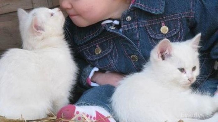 Kumpulan Foto Kebersamaan Anak Kecil dan Kucingnya