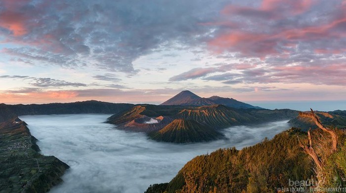 Mengejar Matahari Terbit di Gunung Bromo