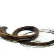 Beberapa Hal yang Perlu Diketahui Tentang Rambut Rontok