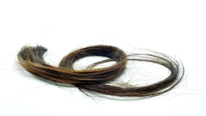 Beberapa Hal yang Perlu Diketahui Tentang Rambut Rontok