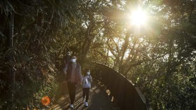 Pakar Umur Panjang Sarankan Jenis Jalan Kaki yang Tepat buat Kesehatan