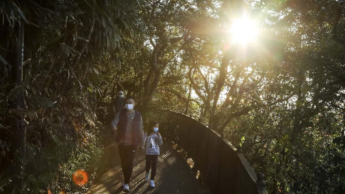 Pakar Umur Panjang Sarankan Jenis Jalan Kaki yang Tepat buat Kesehatan