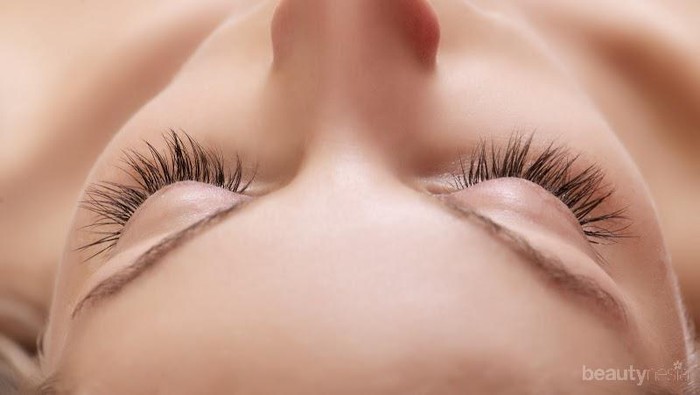 7 Bahan Alami Untuk Memanjangkan Bulu Mata