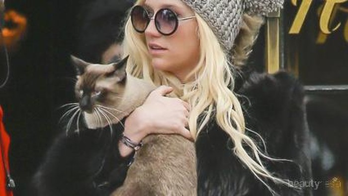 16 Selebriti Hollywood dengan Kucing Mereka (Part 1)