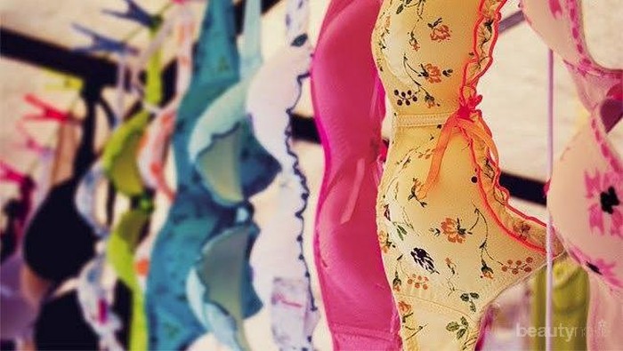 8 Jenis Bra Yang Paling Dibutuhkan Wanita