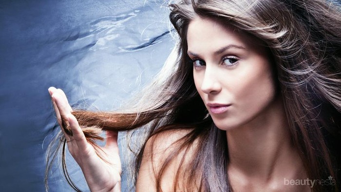 Merawat Rambut Dengan Tea Tree Oil