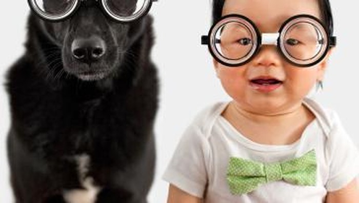 Anjing Zoey dan Bayi Jasper! Mereka Kembar! (Part 2)