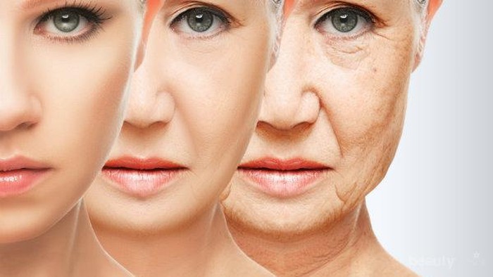 Nutrisi Anti-Aging yang Dibutuhkan Wanita