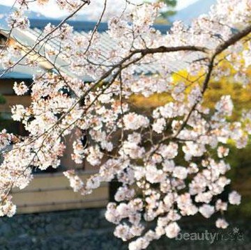 img-title Berani Langgar Aturan Ini di Jepang? Siap-Siap Kena Marah Masyarakatnya!