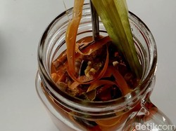 Minuman Rempah-rempah Laris Manis Gegara Corona