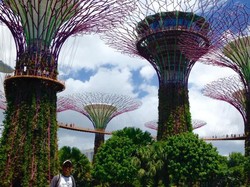Gardens By The Bay, Taman Ciamik Di Jantung Kota Singapura